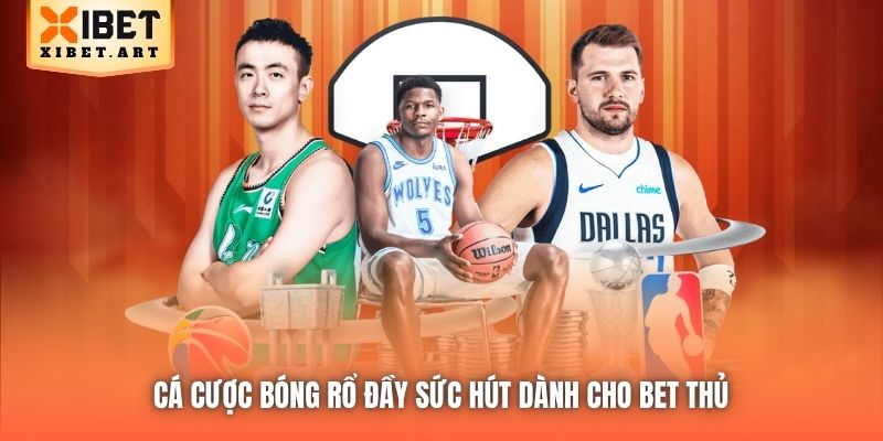 Cá cược bóng rổ đầy sức hút dành cho bet thủ