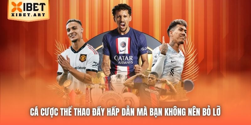 Cá cược Thể Thao đầy hấp dẫn mà bạn không nên bỏ lỡ