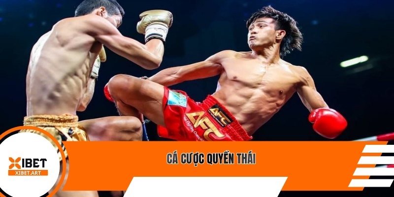 Cá cược Quyền Thái