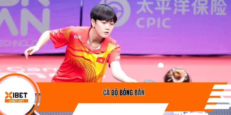 Cá độ bóng bàn