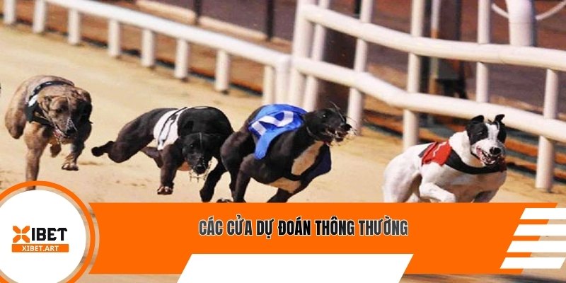 Các cửa dự đoán thông thường