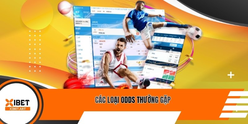 Các loại Odds thường gặp