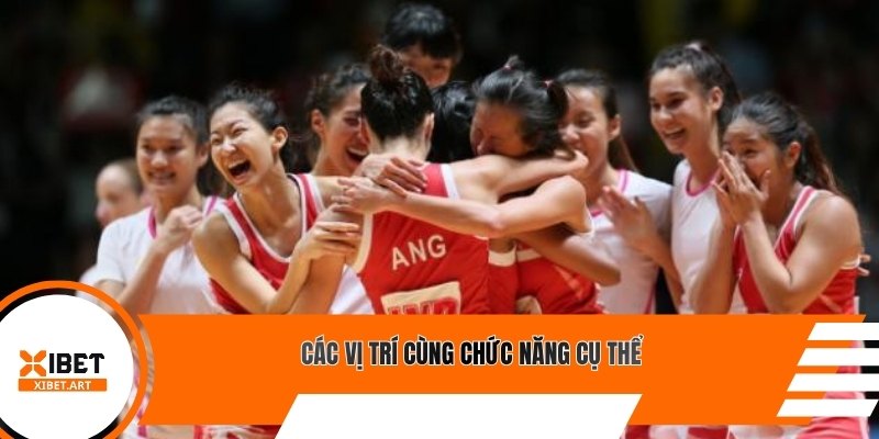 Các vị trí cùng chức năng cụ thể