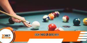 Cách Thức Cá Cược Bida