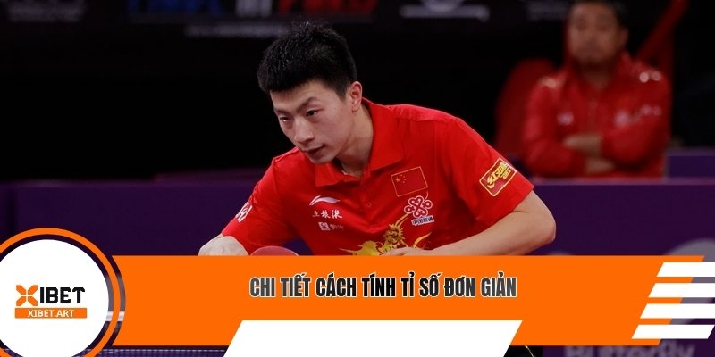 Chi tiết cách tính tỉ số đơn giản
