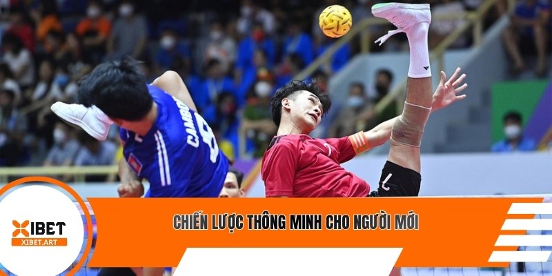 Chiến lược thông minh cho người mới
