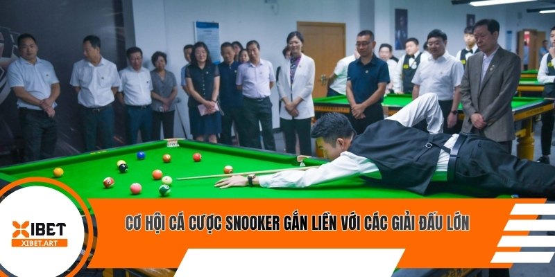 Cơ hội cá cược snooker gắn liền với các giải đấu lớn