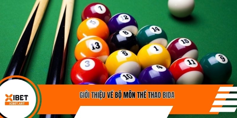Giới thiệu về bộ môn thể thao bida