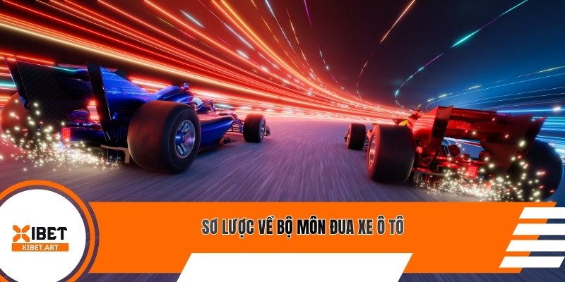 Sơ lược về bộ môn đua xe ô tô