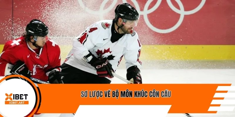 Sơ lược về bộ môn khúc côn cầu