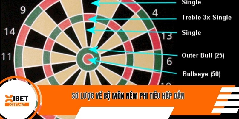 Sơ lược về bộ môn ném phi tiêu hấp dẫn