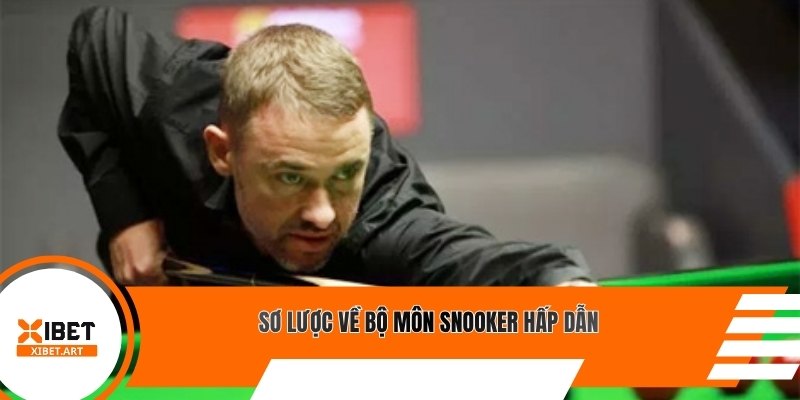 Sơ lược về bộ môn snooker hấp dẫn