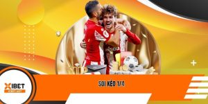 Soi kèo 1/4