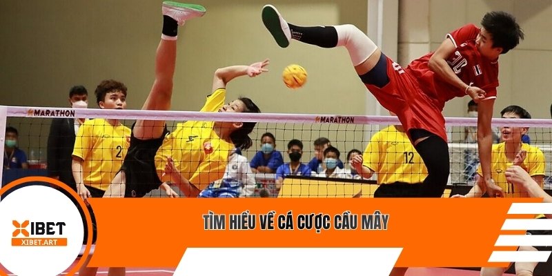 Tìm hiểu về cá cược cầu mây