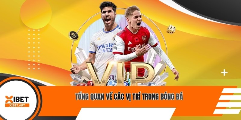 Tổng quan về các vị trí trong bóng đá